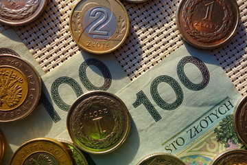 Polish zloty currency