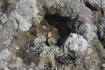 old castle brick wall stone texture