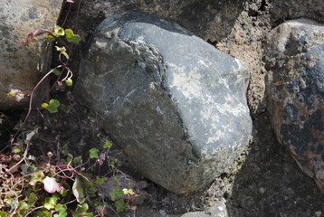 old castle brick wall stone texture