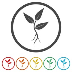 Plant vector icon. Style is flat rounded symbol