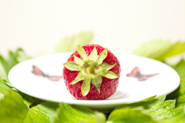 Red and ripe strawberry on the plate among the leaves