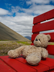 Teddy on red chair