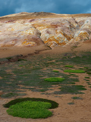 Sulfur landscape and plants