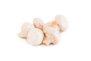 Champignon Isolated on White Background