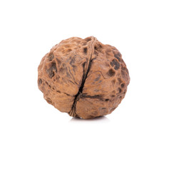 walnut isolated on the white background