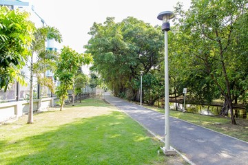 pathway in green city park
