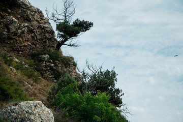 The view from the mountains in the clouds. Crimean rocky mountains.