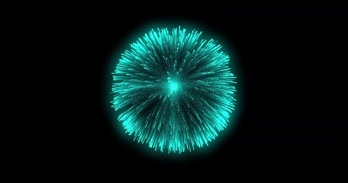 8 Colorful Fireworks Element on Black Background