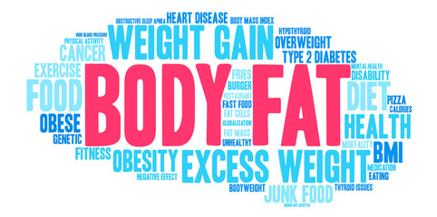 Body Fat Word Cloud on a white background. 