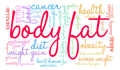 Body Fat Word Cloud on a white background. 