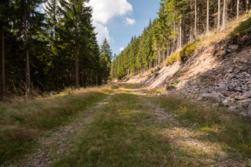 Fototapeta na wymiar Thüringer Wald
