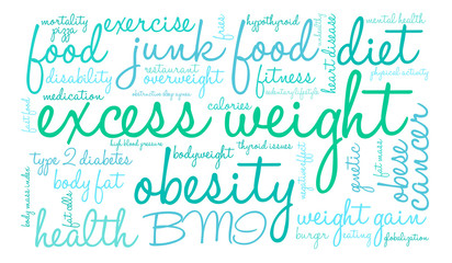 Excess Weight Word Cloud