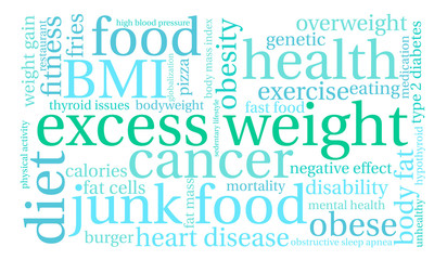 Excess Weight Word Cloud