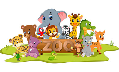 Naklejki  kolekcja zwierząt w ogrodach zoologicznych