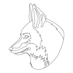 Fox head vector illustration  coloring book
