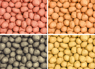 Four different types of fresh potatoes