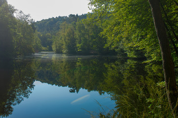 Fototapeta na wymiar Small lake in the wood