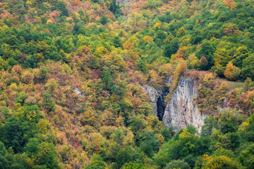 Obraz premium Daryasar Forset, Mazandaran, Iran