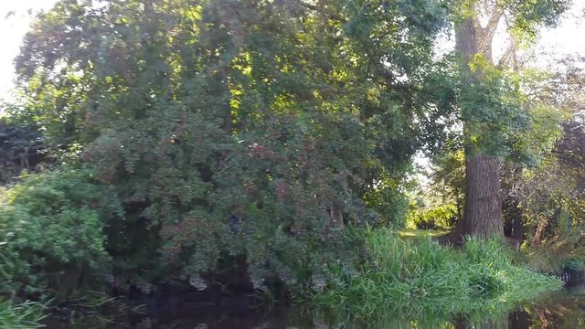 Romantische Fahrt auf der Medem
