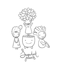 Beautiful succulent in pot. Little fairy.