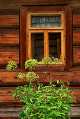 Fototapeta na wymiar Rural wooden window and flowers