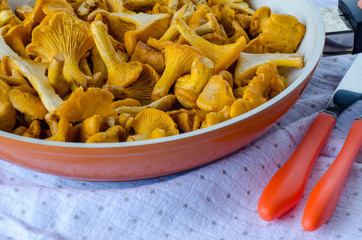 Chanterelles in a frying pan on the table.