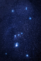 Orion stars