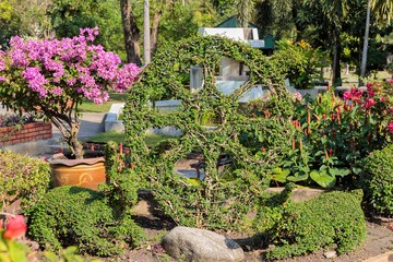 Exquisite bushes in the garden
