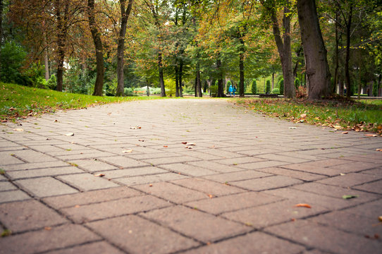 Walkway of pavers close-up in autumn Park