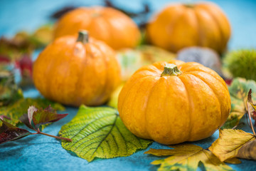 Pumpkins on fall leaves