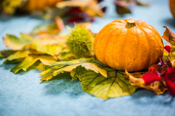 Naklejka na ściany i meble Colorful fall seasonal autumn colors background