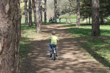 Ребёнок на велосипеде едет по дороге в лесу