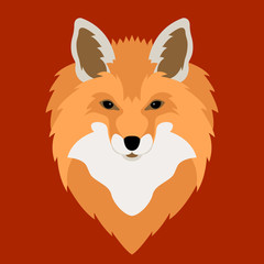 Fox head vector illustration style Flat