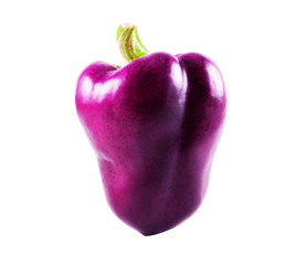 Pepper isolated on white background