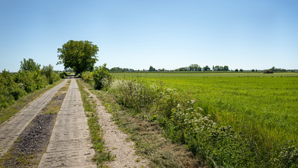 Fototapeta na wymiar EuroVelo Route 10 Baltic Sea Cycle Route near Bielkowo.