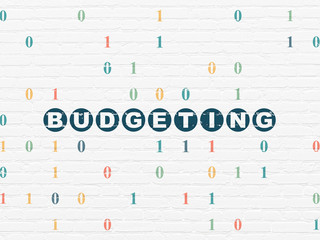 Business concept: Budgeting on wall background