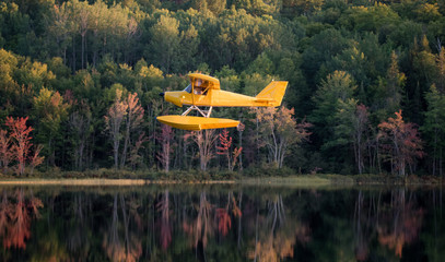 Fototapeta premium Small yellow airplane on pontoons comes in for a landing on an Eastern Ontario lake on a summer's evening. 
