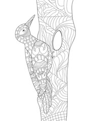 Woodpecker coloring vector for adults