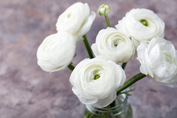 White ranunculus flowers in a glass vase Grey background Copy space