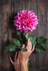 woman hands holding flower on an old wood table