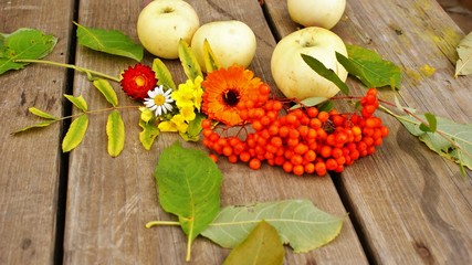 Осенний урожай, натюрморт