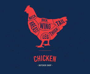 Chicken cuts. Diagrams for butcher shop. Scheme of chicken. Vector illustration.
