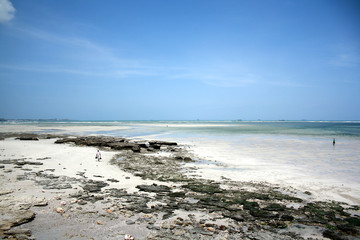 Fototapeta na wymiar coast of Dar es Salaam, capital city of Tanzania, East Africa, during low tide