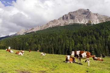 Fototapeta na wymiar Alpine landscape in the Dolomites, Italy, Europe