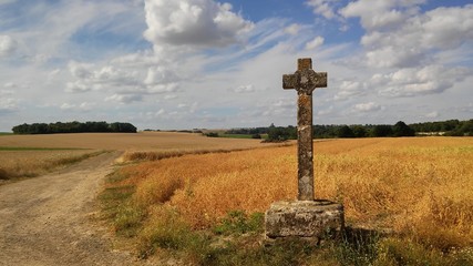 Vexin français natural regional park