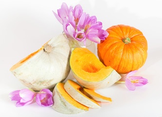 Gray ripe pumpkin with orange pulp and violet flowers