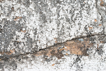 white concrete wall texture