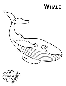Children's coloring book that says Paint me. Sea life. Whale