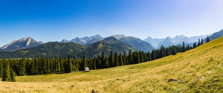 Fototapeta View from Rusinowa Polana