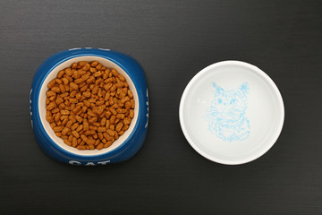 Dry cat food and water in bowl on black floor